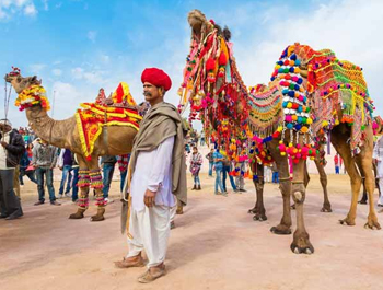 Pushkar Fair Rajasthan